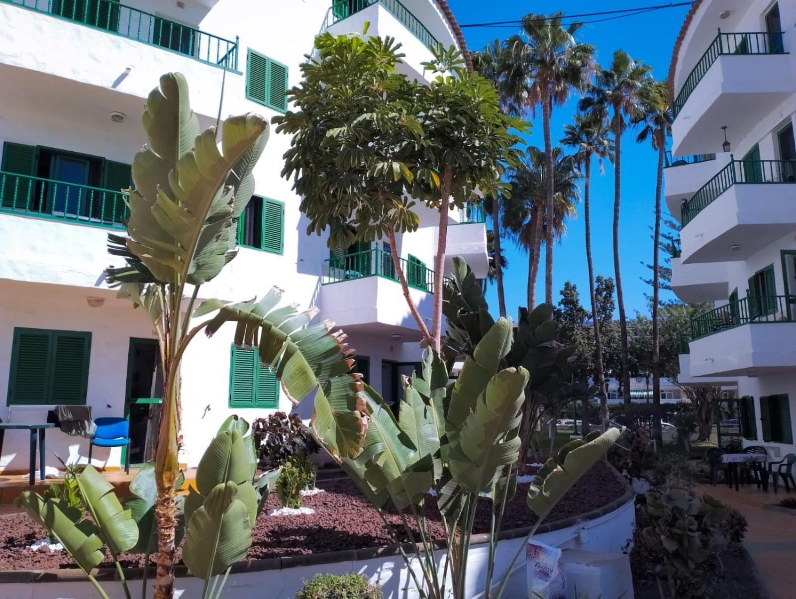Canarian Havaii En Faluas Playa del Ingles  Dış mekan fotoğraf